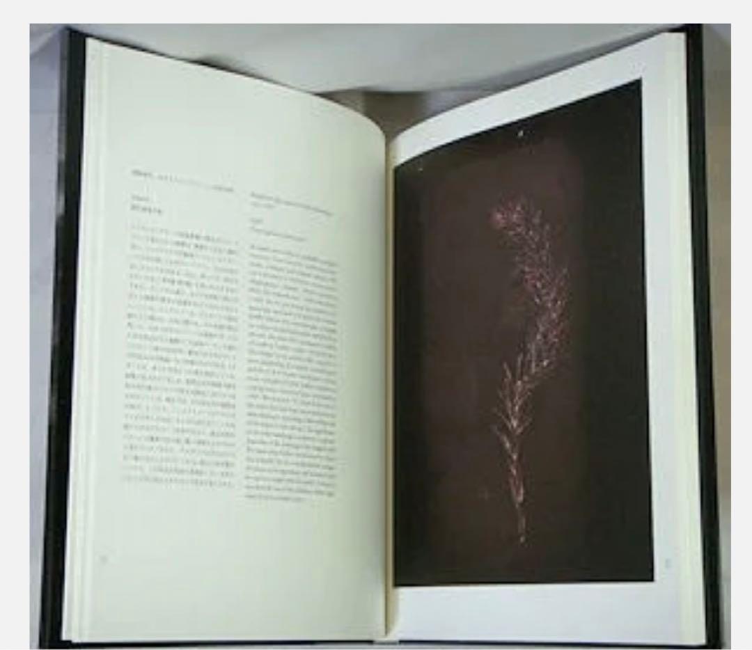 直筆サイン入り 絶版】光の自然 / Nature of Light 杉本博司 - メルカリ