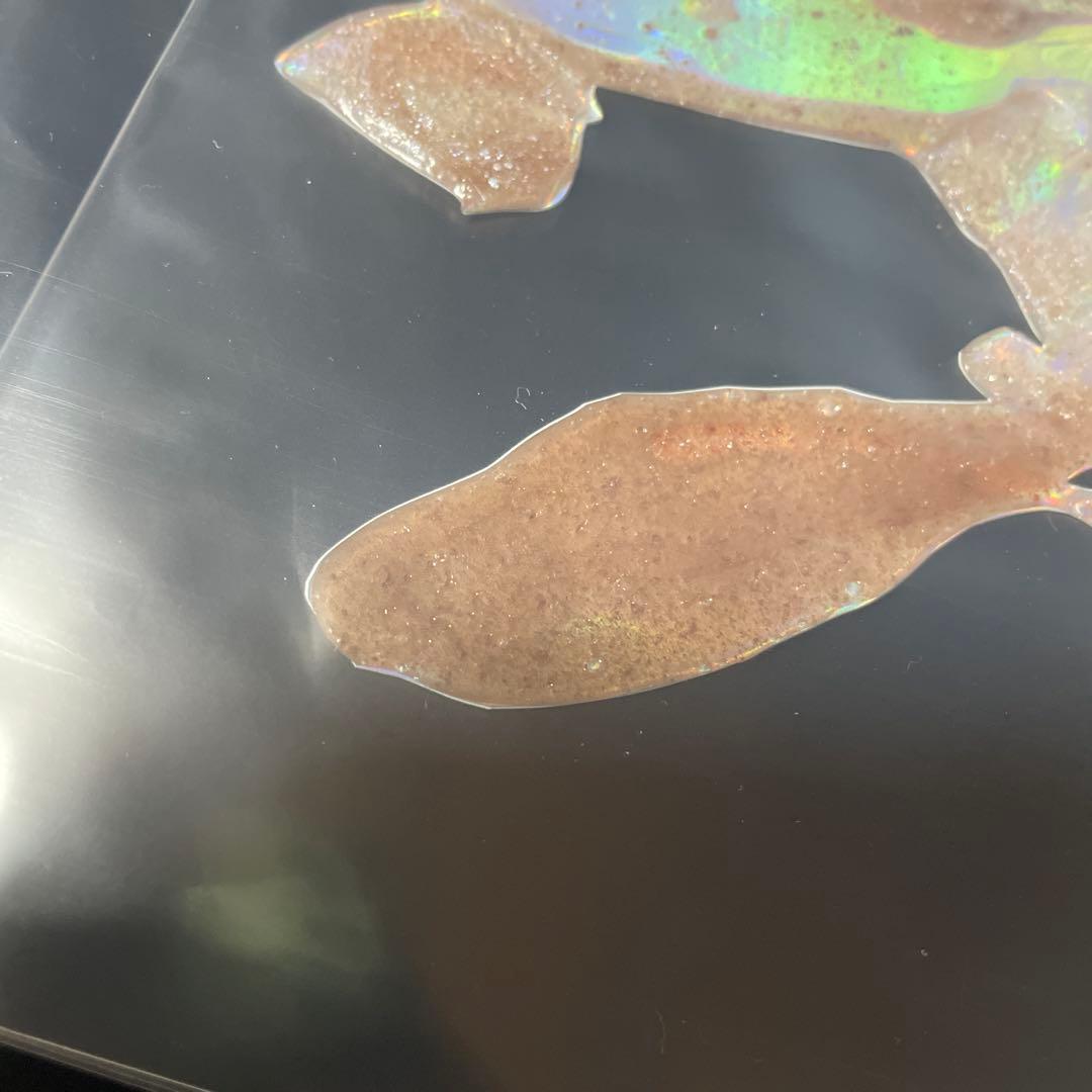 はくいきしろい × KATE 【アップサイクルプロジェクト 当選品