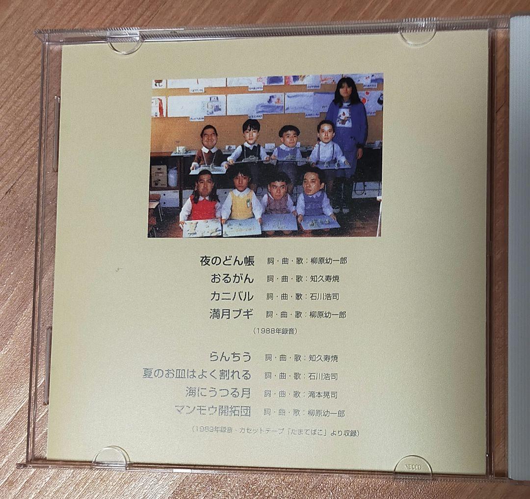 たま / でんご CD 知久寿焼 石川浩司 パスカルズ 柳原幼一郎 滝本晃司
