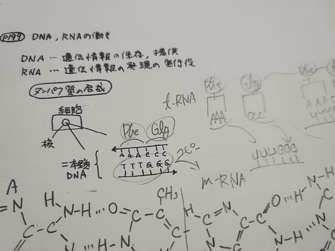 駿台の24年最新石川先生による深く学べる有機化学講義プリント 鉄緑会