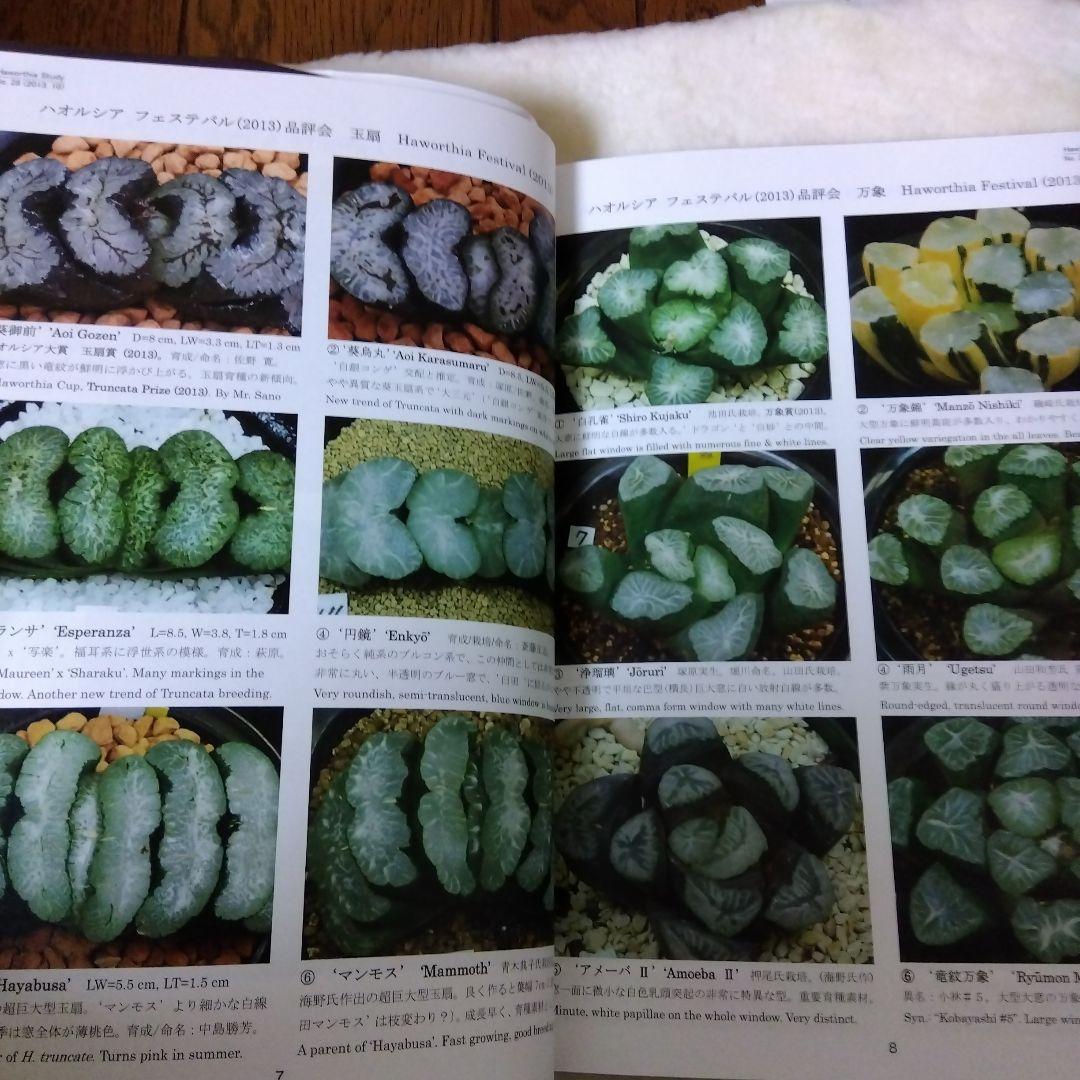 ハオルシア品種名総覧 = Total list of haworthia cu… - メルカリ