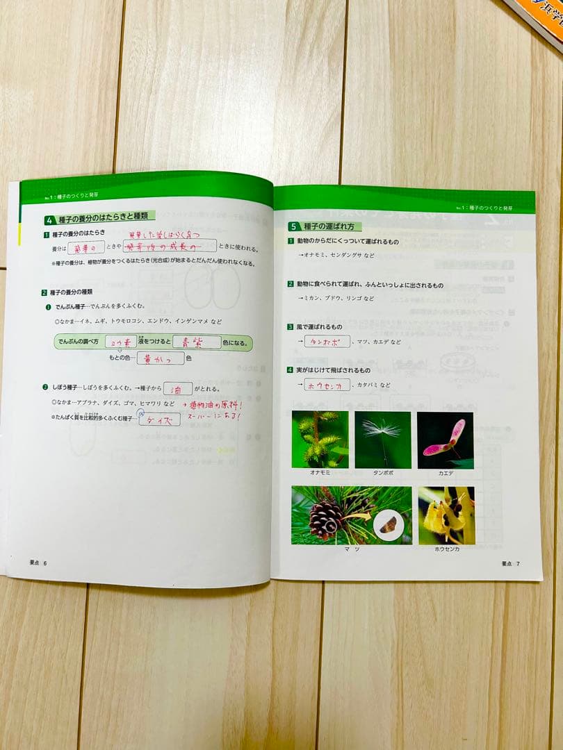 浜学園 理科 5年 6年 マスターコース ☆日能研関西生にもおすすめ