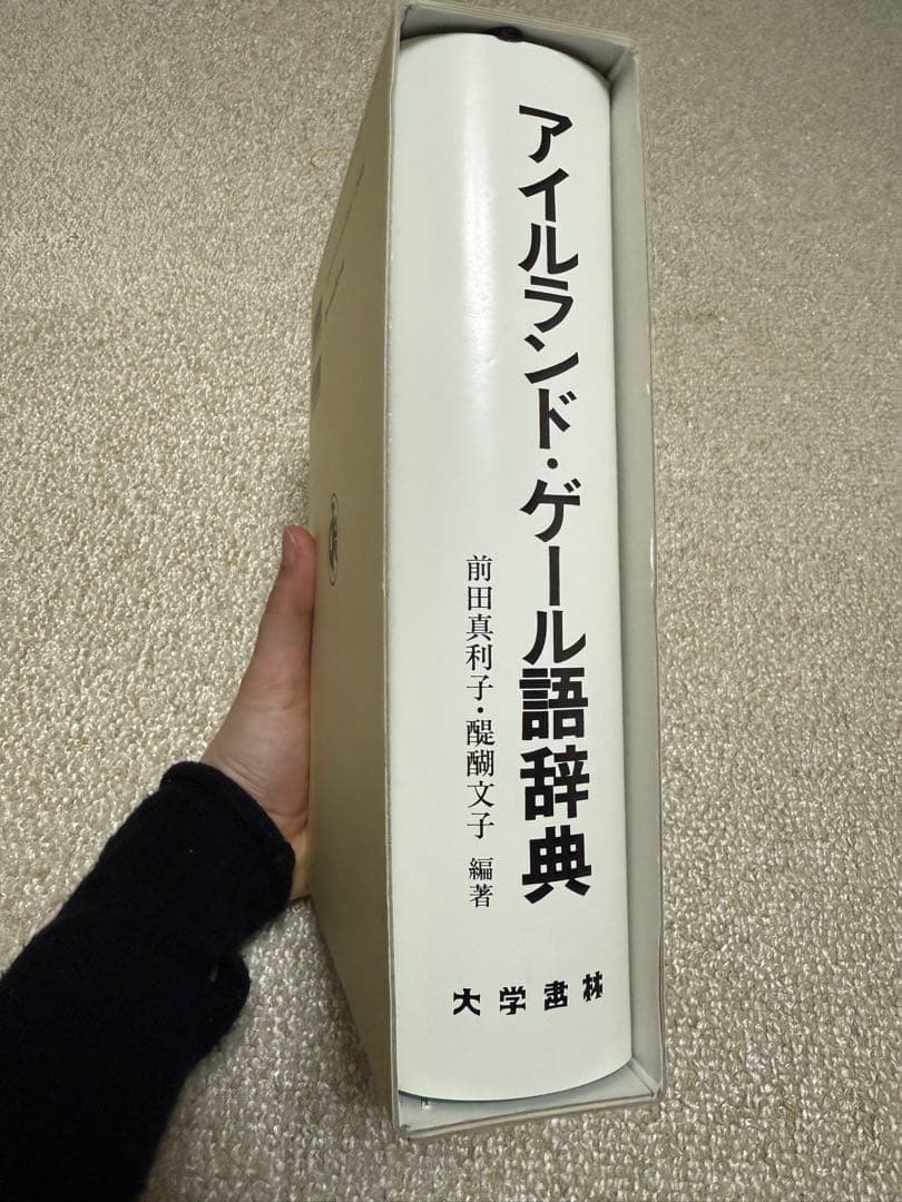 アイルランド・ゲール語辞典