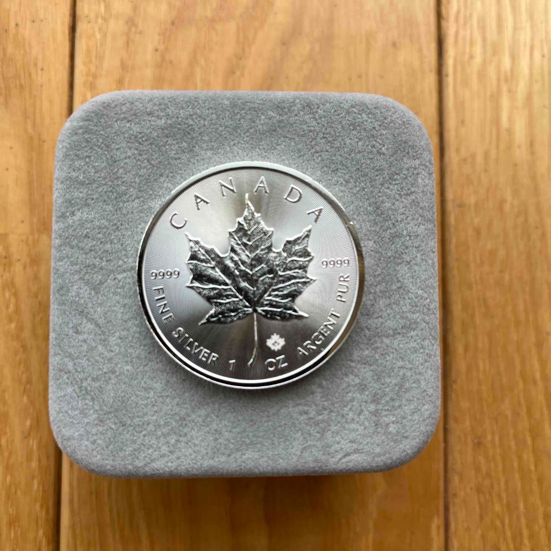 2015年 メイプルリーフ銀貨 31.1g (１ オンス)