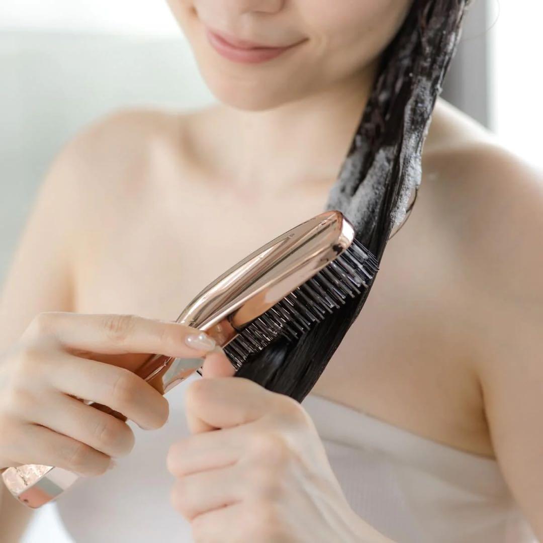 【新品未開封】WiLLAザ ブラシュ レボ　The Brashu revo