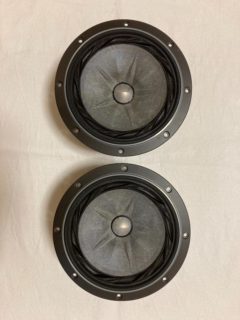 FOSTEX FE208ES-R 2台セット - メルカリ