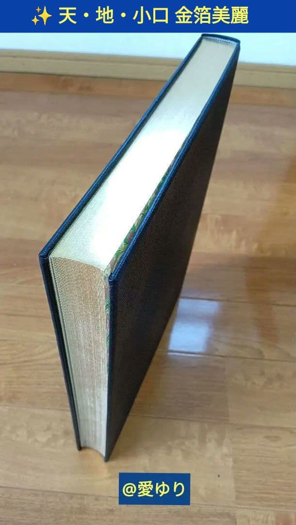 特大♢豪華限定♢羊革装版『きたのじゅんこ自選画集』天然宝石15石