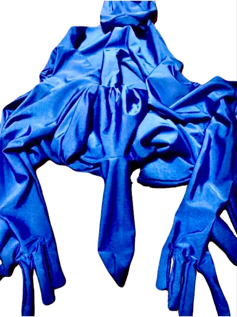 即購入OK。Mサイズロイヤルブルー男性凸仕様ゼンタイフルフェイスマスク全身タイツ