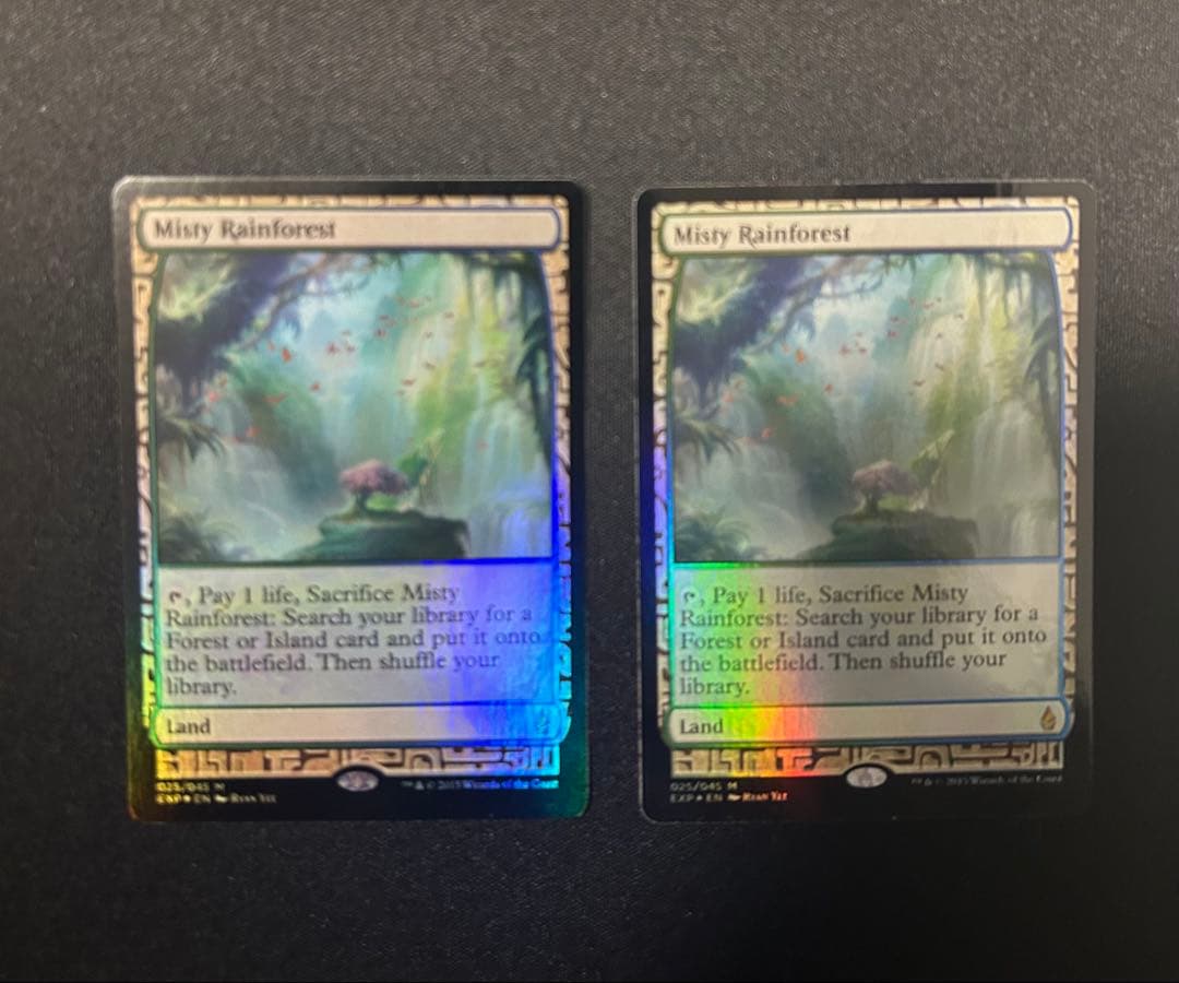 【2枚セット】霧深い雨林_FOIL_EXP Foil】《霧深い雨林/Misty Rainforest》[EXP] 土地R | 日本最大級 MTG