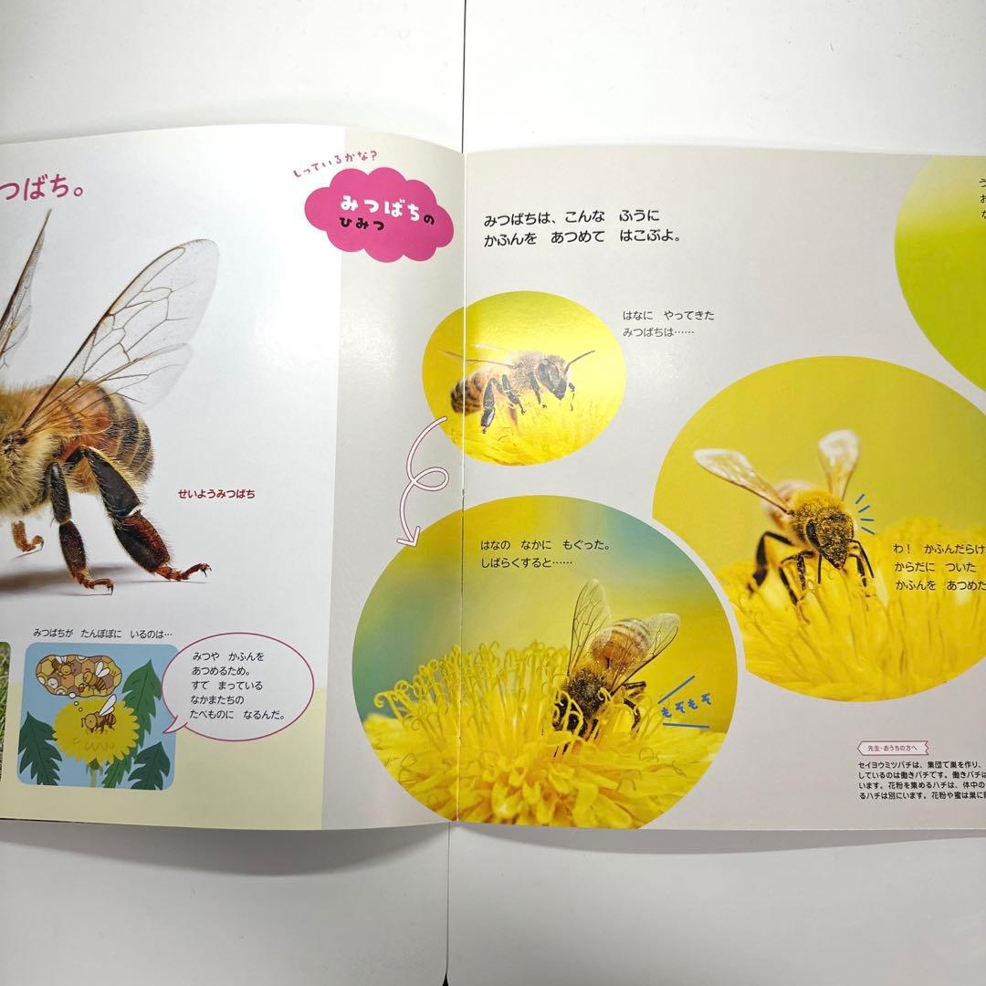 2点購入150円引】おはなしワンダー いいな「じぶん」！ くすのきしげ