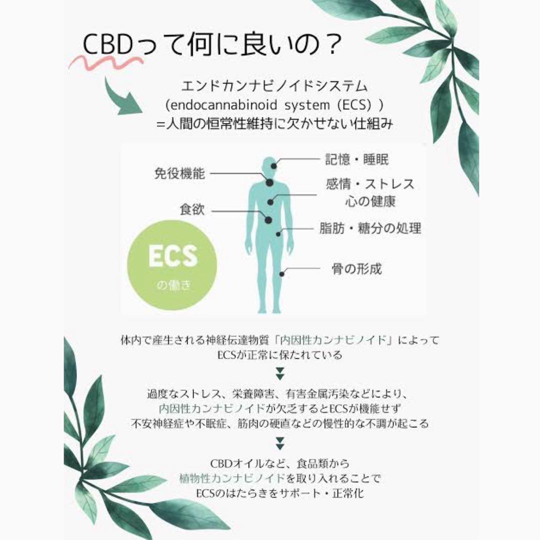 HHBD リキッド 0.5ml CBD CBN CBP H4CBH