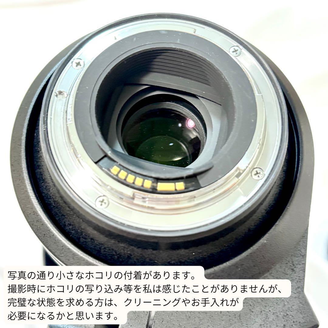 TAMRON SP 150-600mm F/5-6.3 キヤノン用 超望遠レンズ