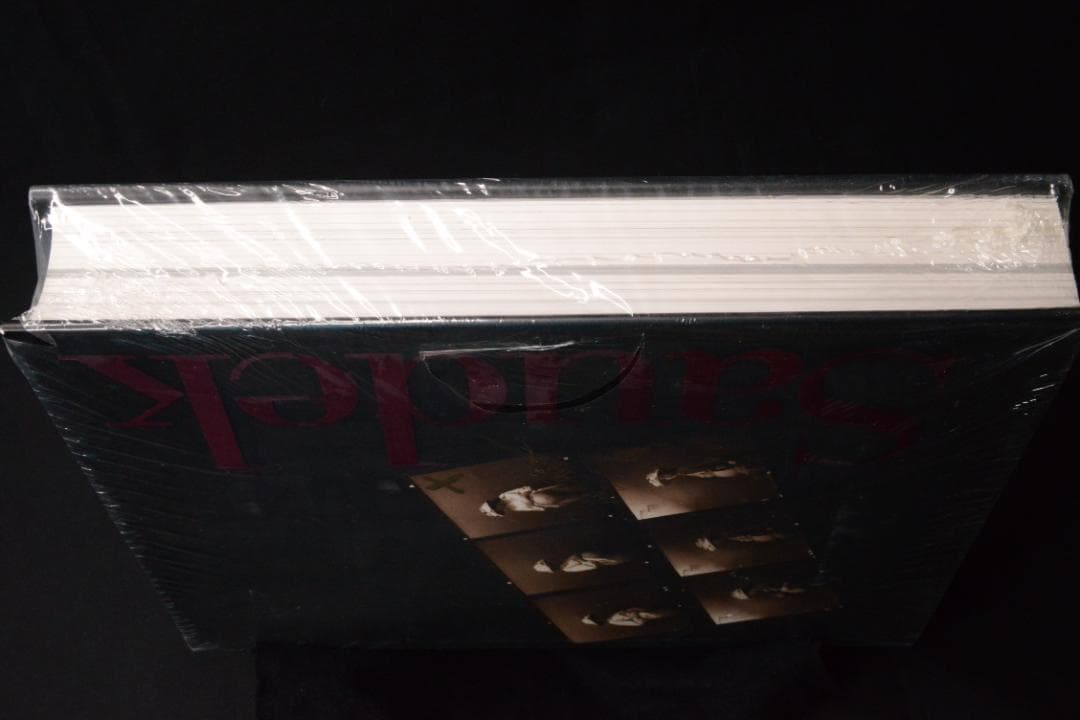 【JAN SAUDEK】Jan Saudek写真集　2016年　新品未読品・美本