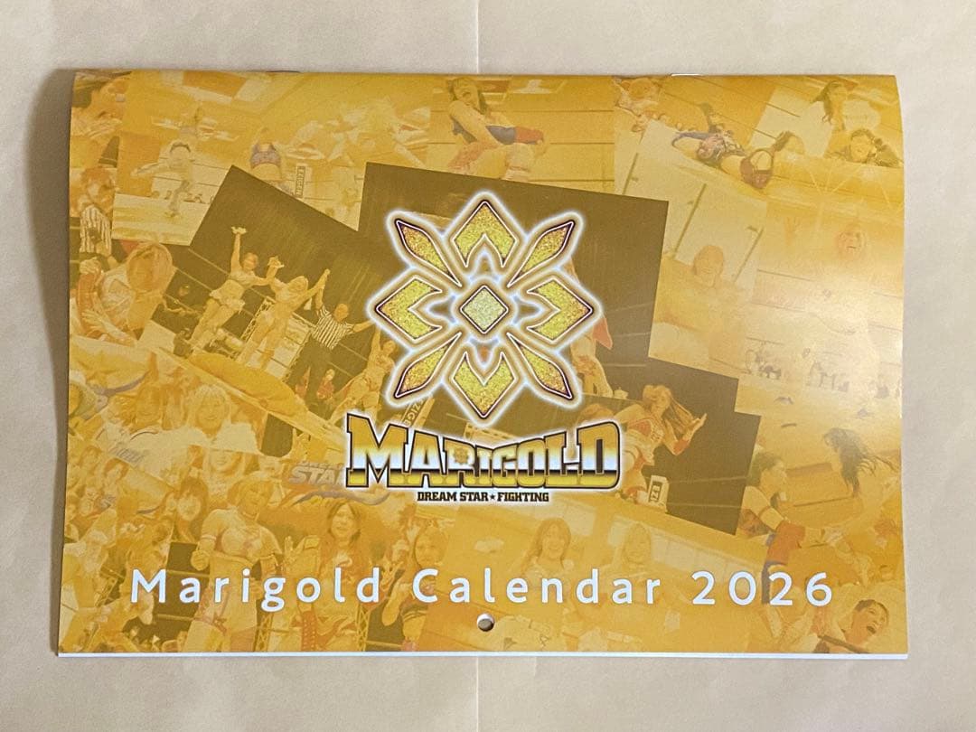 マリーゴールド Sシート特典 2026年カレンダー 岩谷麻優 全選手 非売品