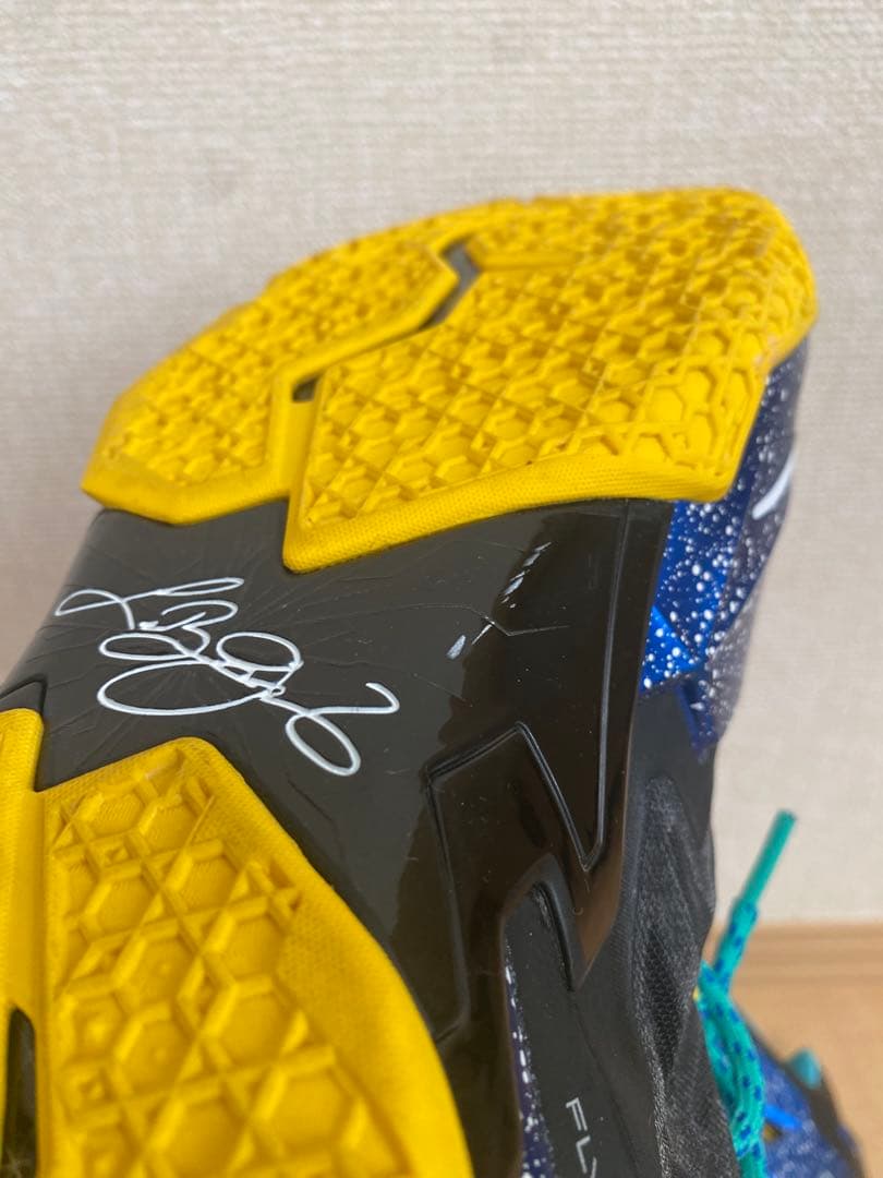 【最終値引き】　Nike LeBron レブロンバスケットシューズ　28.5cm