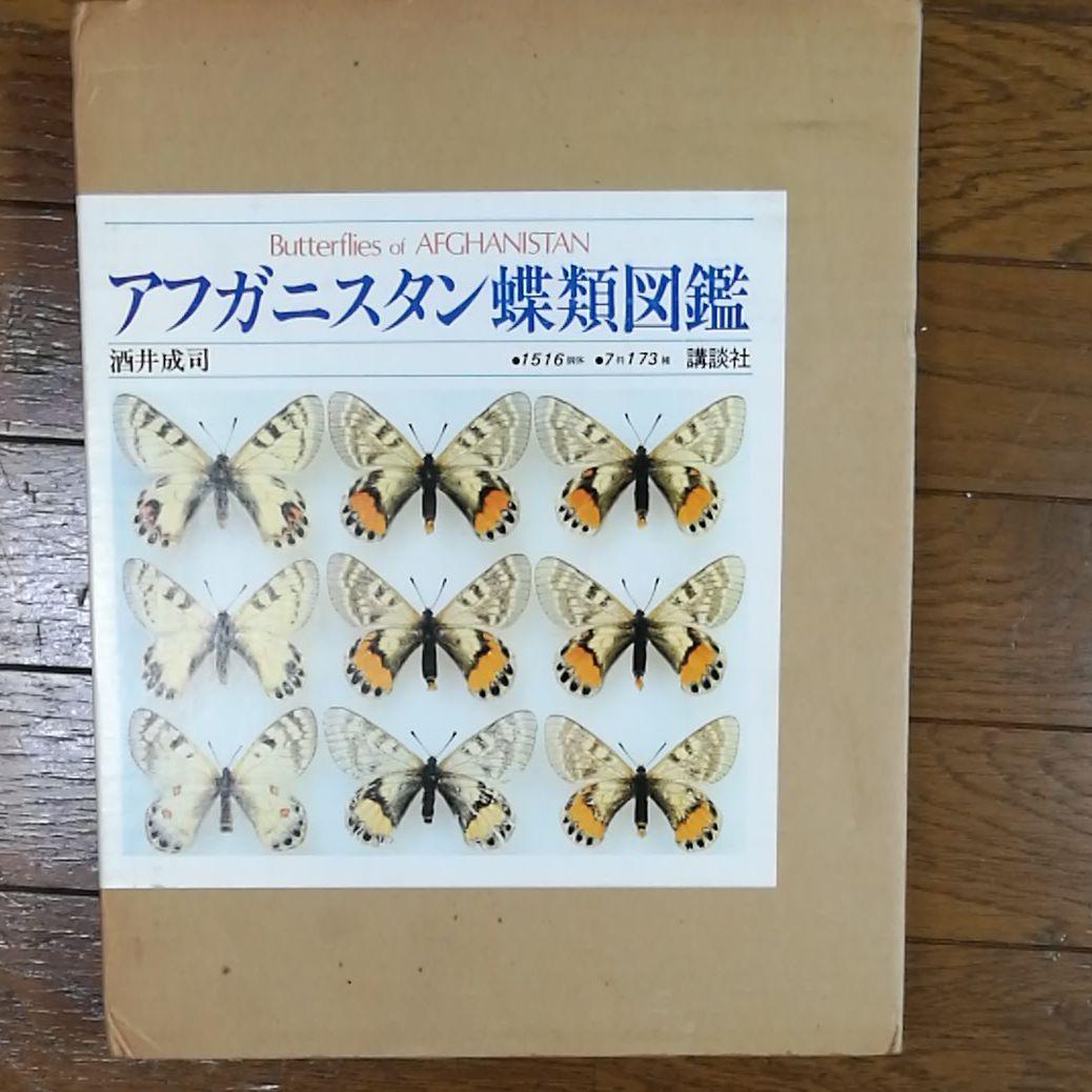アフガニスタン蝶類図鑑 明倫館書店 / アフガニスタン蝶類図鑑