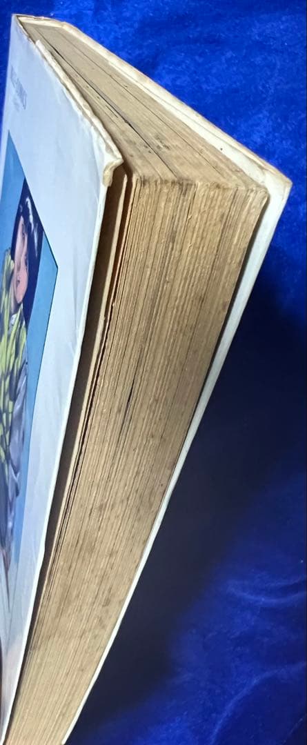 【東京三世社】少女妻 / 富田茂