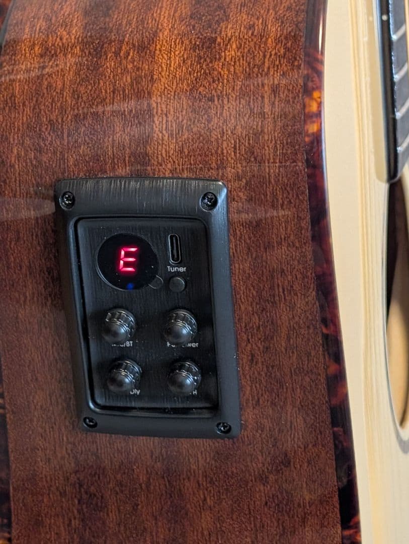 トップ単板美品☆アンプ不要！リバーブやコーラスがかかる