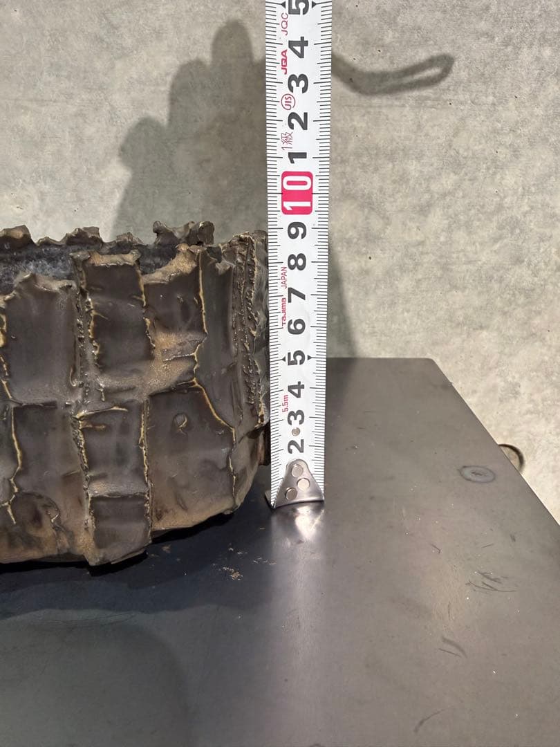 RAW LIFE FACTORY 検) y鉢 細川政己 パキプス グラキリス - メルカリ