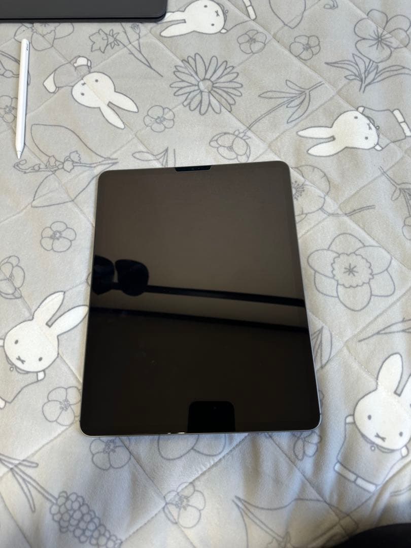 Ipad Pro12.9第6世代 2022 256GB WF+Cellular