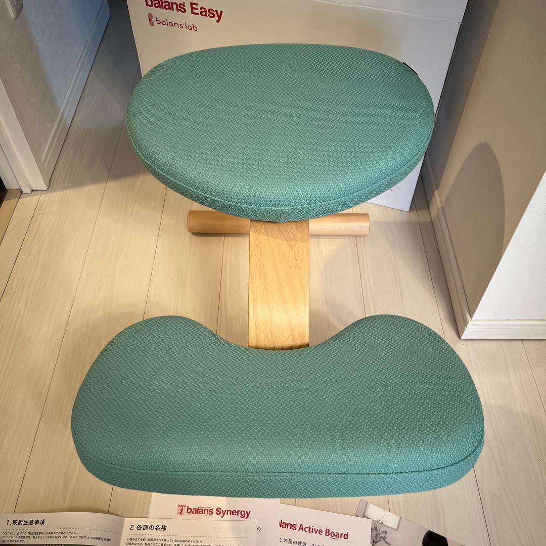 美品】バランスイージー ショートフレーム カバー付き 2024年購入品