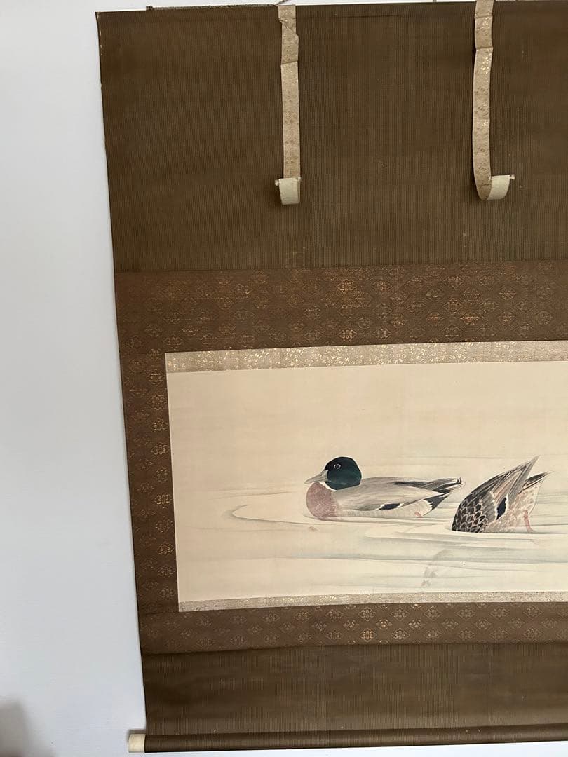 江戸時代 森徹山 真筆 水中鴨 掛軸 共箱付 茶掛 索丸山応挙 - メルカリ