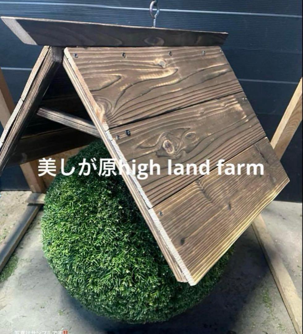 杉玉　約３０センチ‼️縁起物　丸くて幸せ　家族円満♪ 杉玉 約30センチ‼️縁起物 丸くて幸せ 家族円満♪ - メルカリ