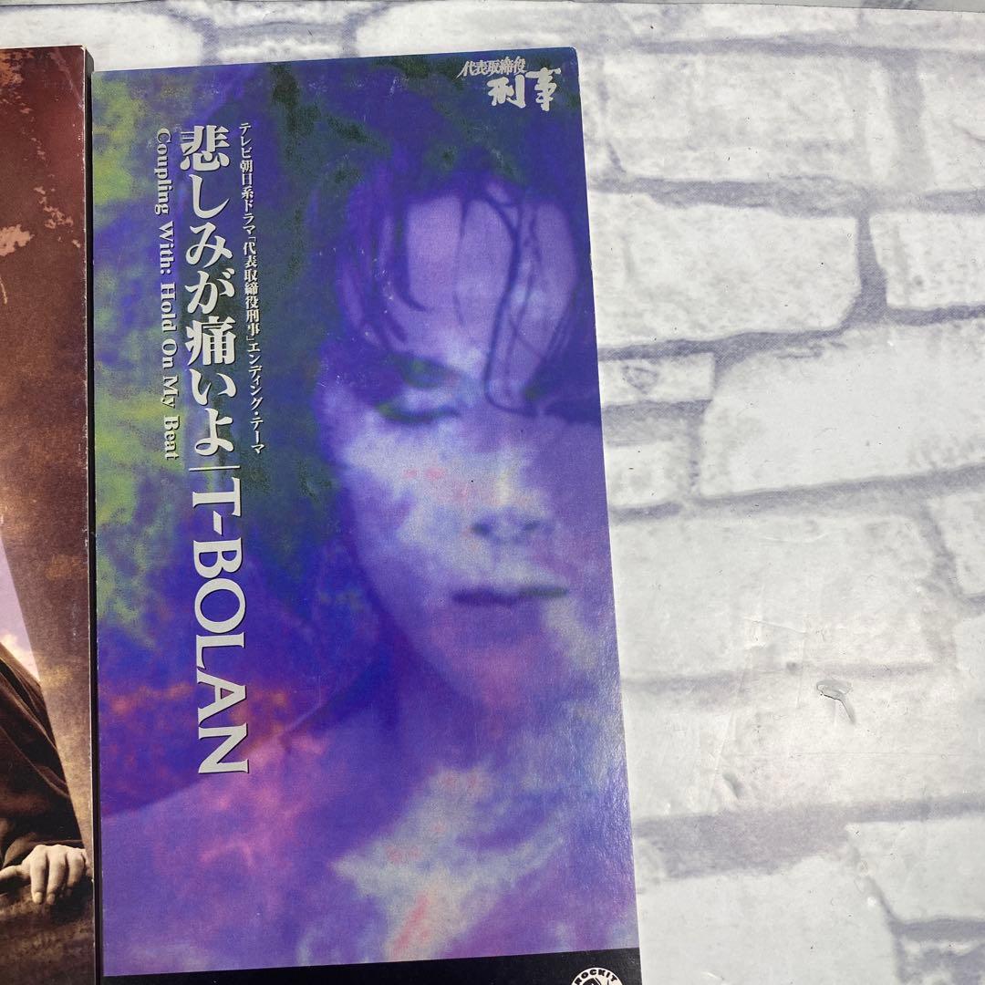T-BOLAN シングルCD 9作 レトロ じれったい愛 離したくはない マリア