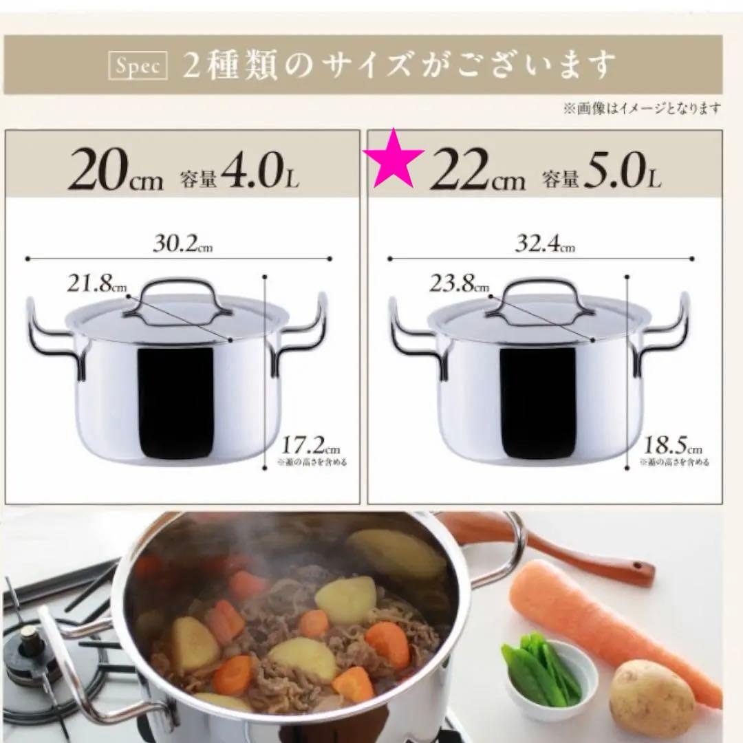 ウ*ツ様 【新品未使用】宮崎製作所 ジオプロダクト ポトフ鍋 22㎝ 5.0L