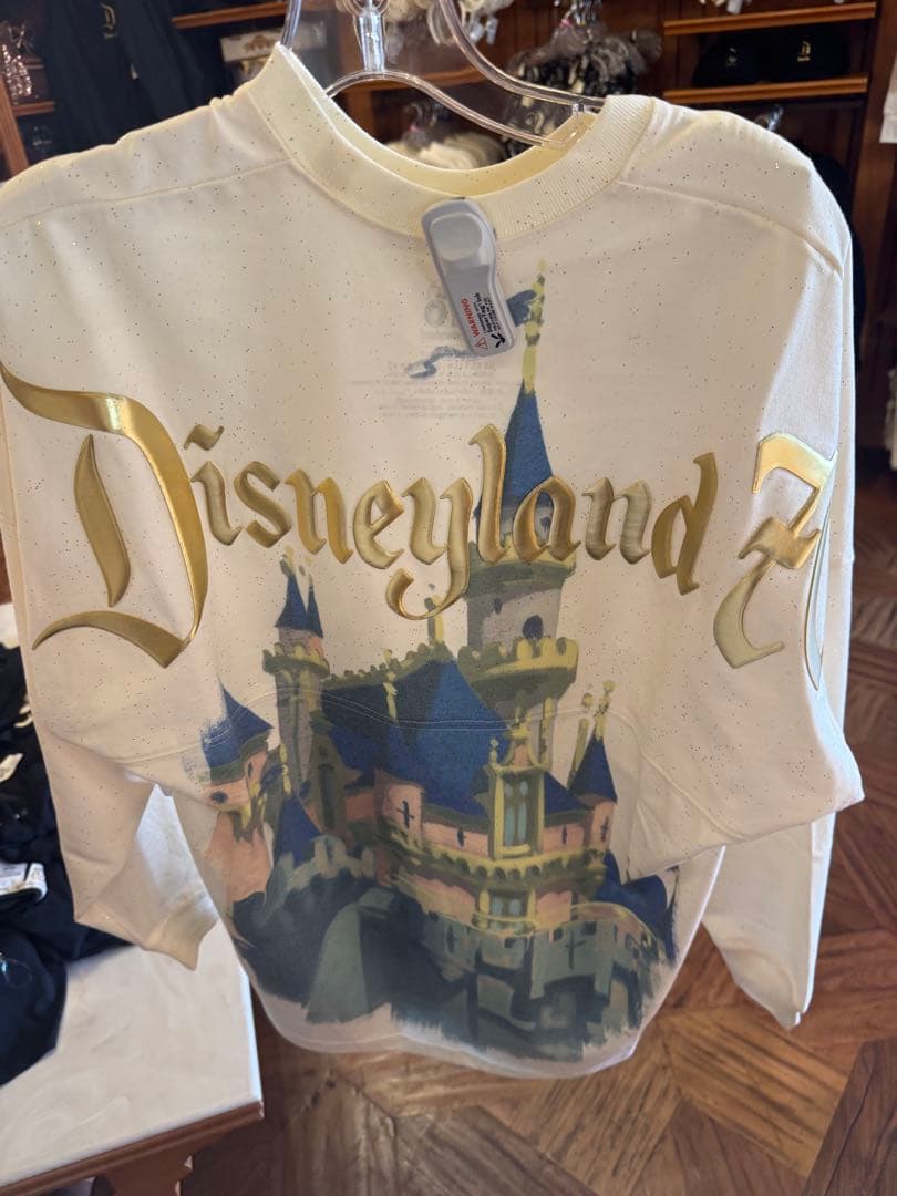 ディズニーランド カリフォルニア アナハイム／スピリットジャージ70