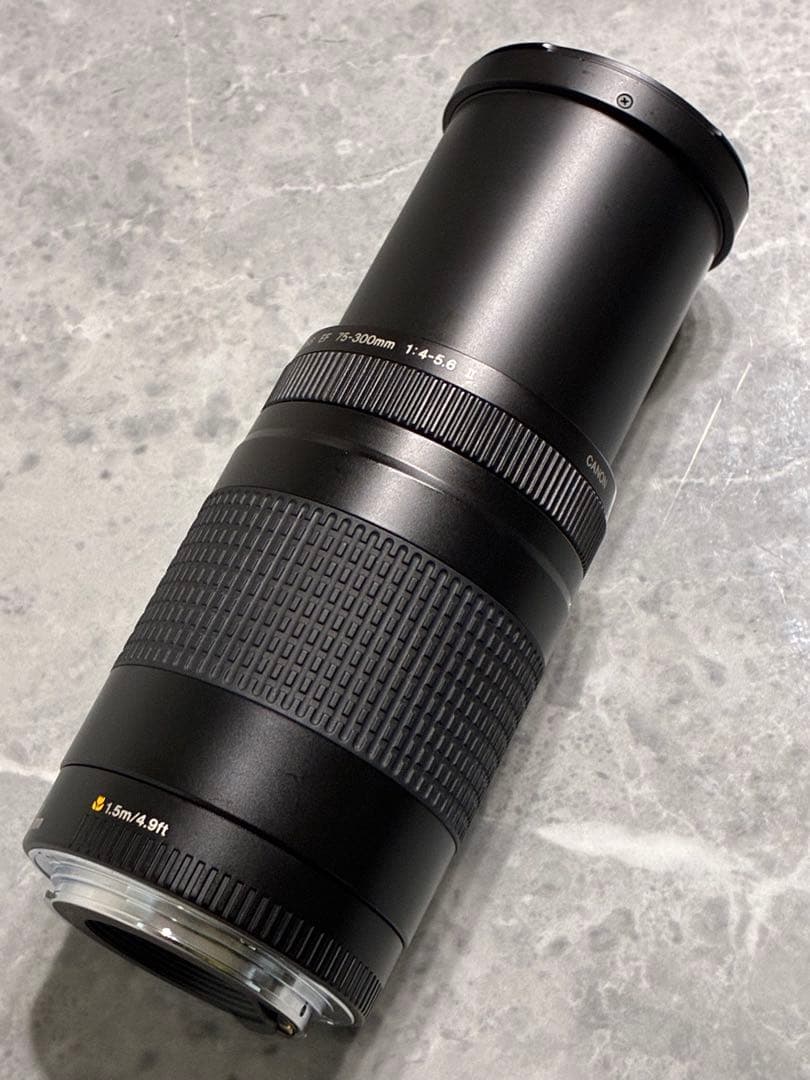 ⭐️美品⭐️Canon EF 75-300mm F/4-5.6 II 望遠レンズ