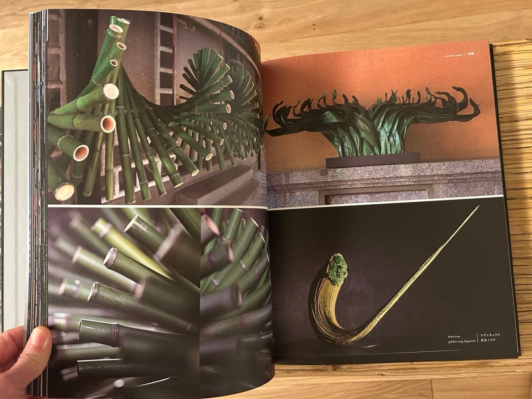 DANIEL OST in JAPAN アートブック - メルカリ