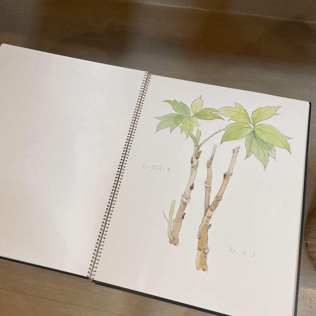 河村大蔵　蔵石　スケッチブック