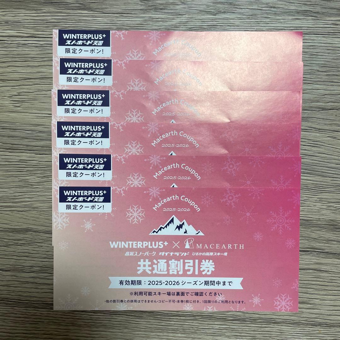 高鷲スノーパーク&ダイナランド 共通リフト券（1枚） ☆おまけ割引券