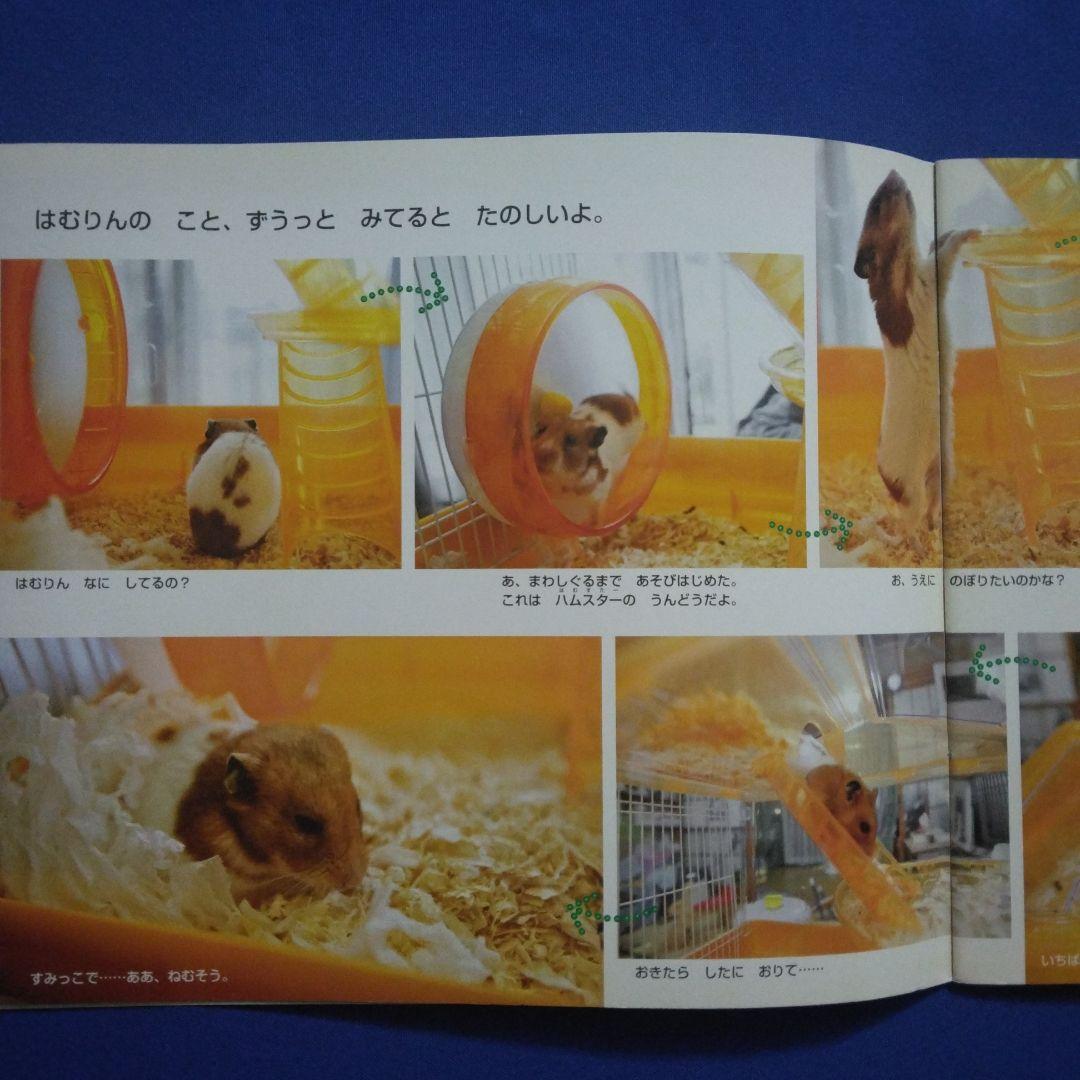 かがくのとも ビッグサイエンス キンダーブックしぜん ハムスターの
