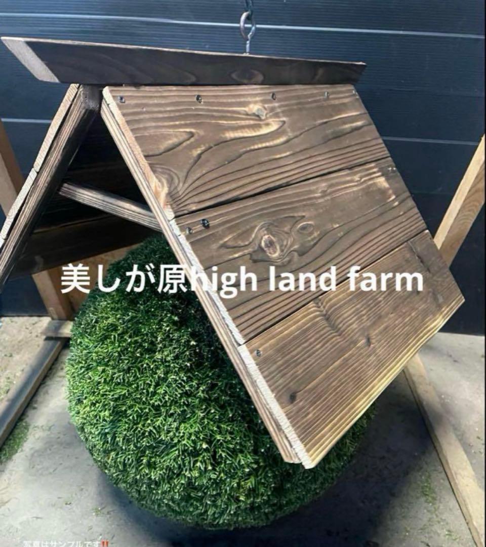 杉玉　約30センチ ‼️縁起物　丸くて幸せ　家族円満♪ 杉玉 約30センチ‼️縁起物 丸くて幸せ 家族円満♪ - メルカリ