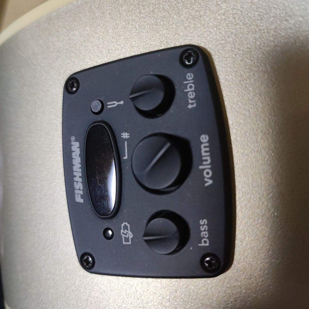 B*t様 【希少カラー】Fender シャンパンゴールド 美品 アコギ - メルカリ