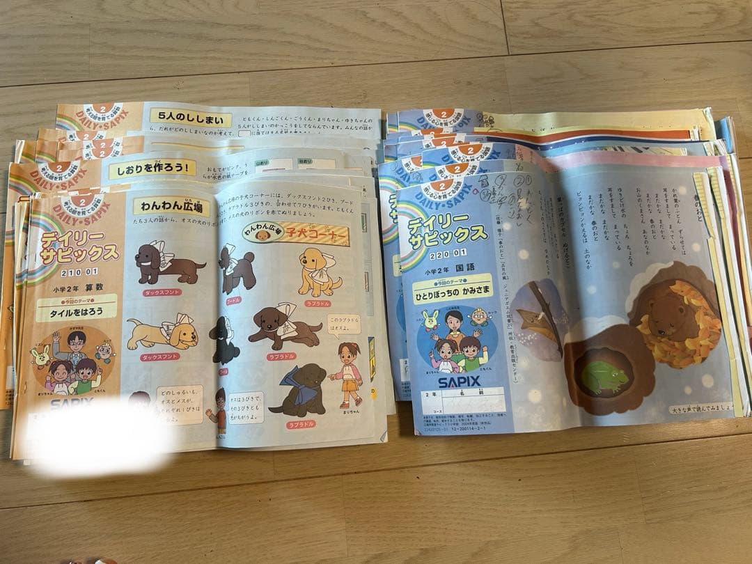 Sapix2年生デイリーサピックス国語1-17&数学1-17全巻、全34冊 ㉒あ サピックス SAPIX 2年 デイリーサピックス 算数・国語 テキスト