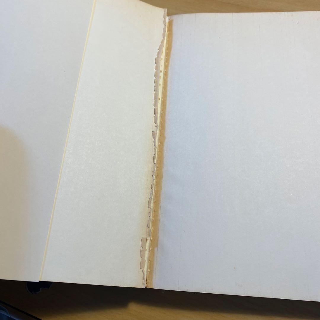 絶版】Spiritual Energy 政木和三 精神エネルギー