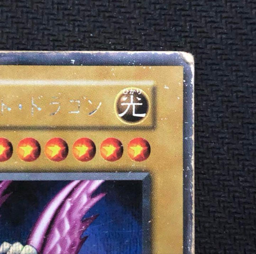 ネスタ様専用【歴戦個体】ホーリーナイトドラゴン 初期シークレット