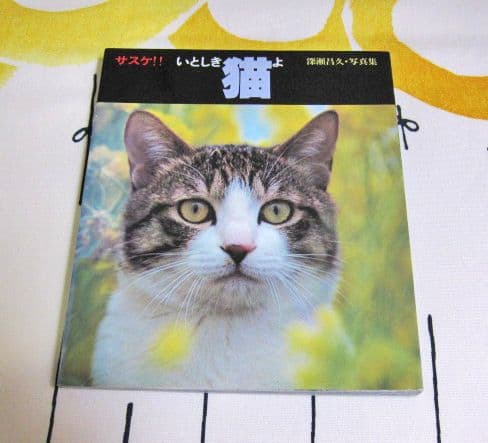 深瀬昌久写真集 サスケ! いとしき猫よ MASAHISA FUKASE サスケ！！ いとしき猫よ（First Printing） - 深瀬 昌久 / Masahisa