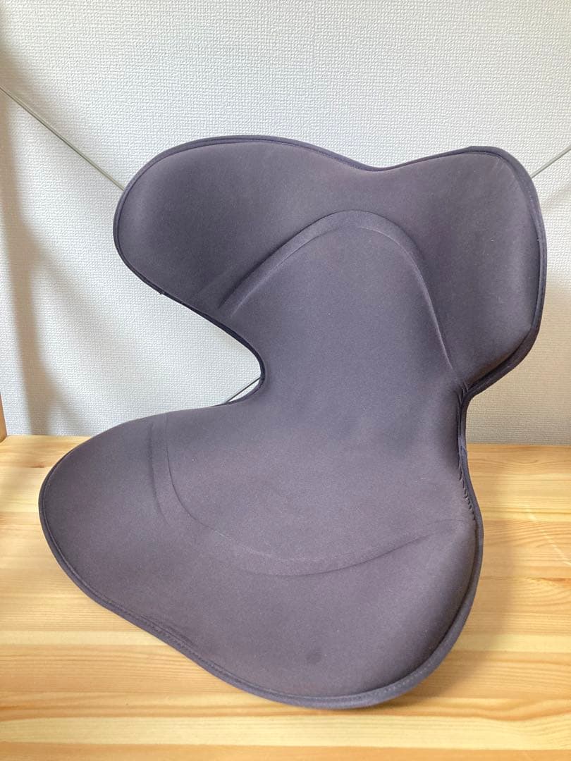 ☆良品！！ スタイルスマート MTG Style SMART 骨盤矯正 姿勢矯正 楽天市場】姿勢ケアシート スタイル スマート MTG Style SMART 骨盤