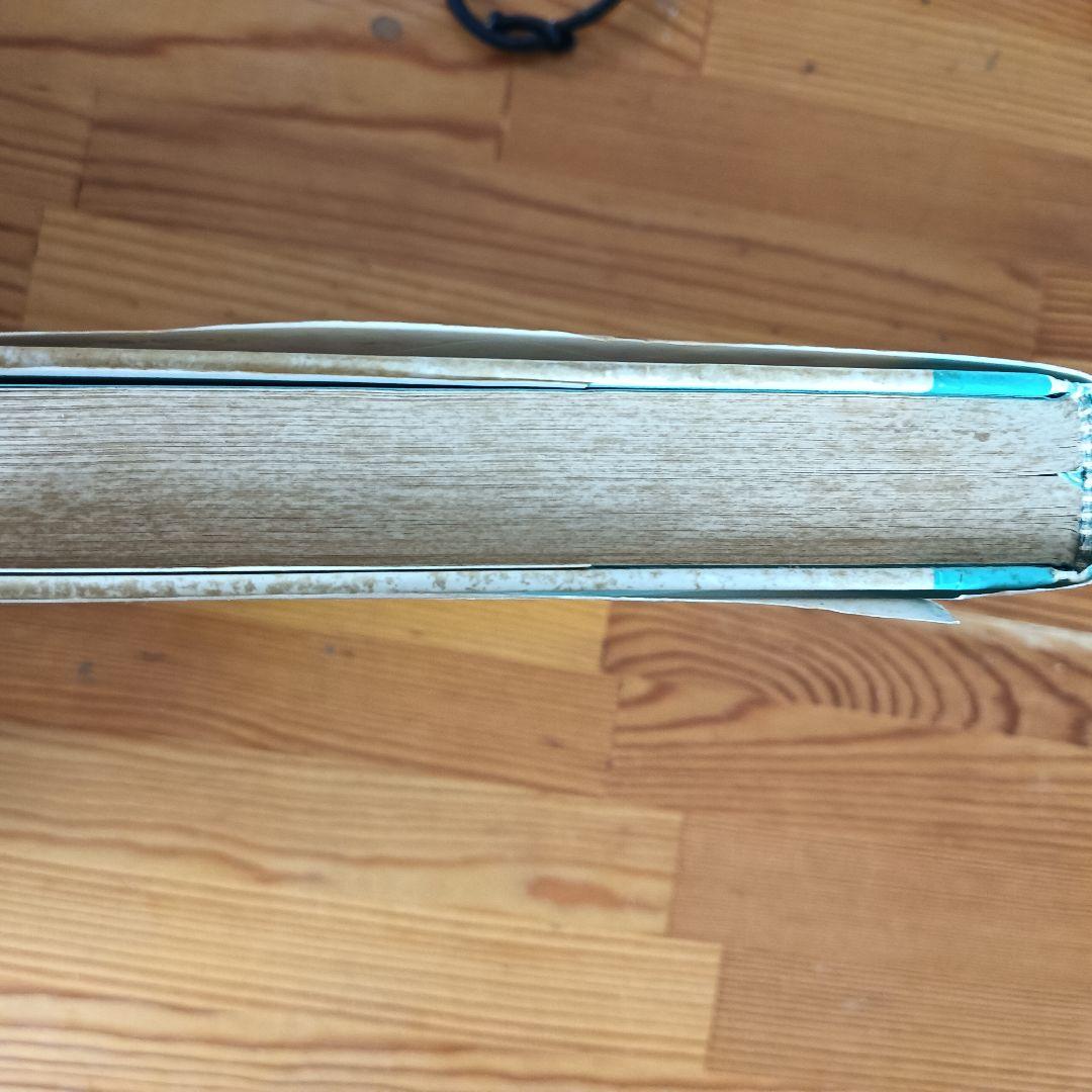 いかが勝てる 富桜ヨーコ著 1988年