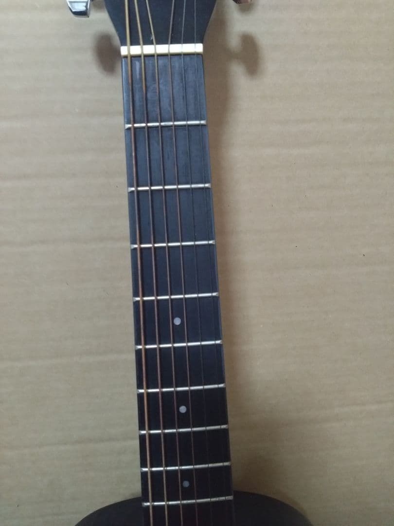 アコースティックミニギター LumberL100MNA ケース他付属品5点