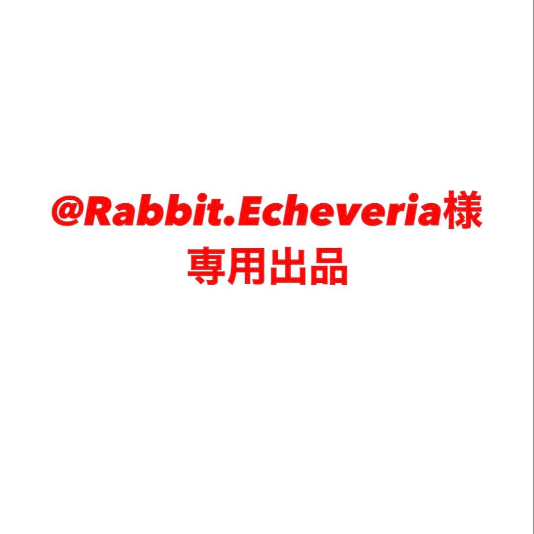 @Rabbit.Echeveria出品 Shop Echeveria Snow Bunny – Beautiful White Succulent Collection