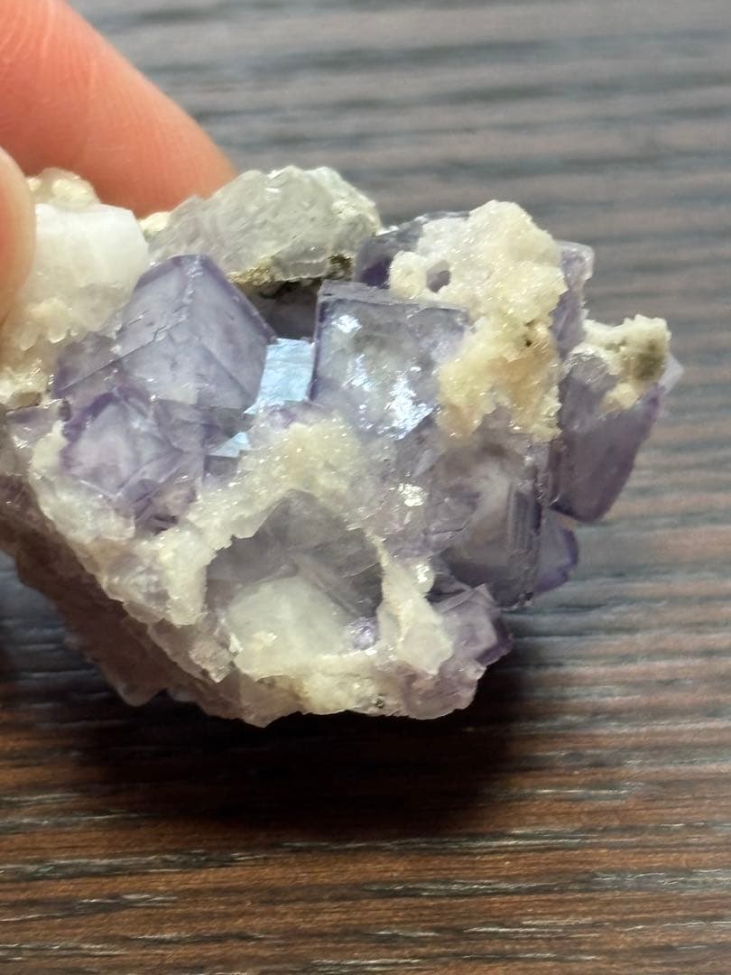 ポーセリン フローライト canoe-trico_sk220839-bbk