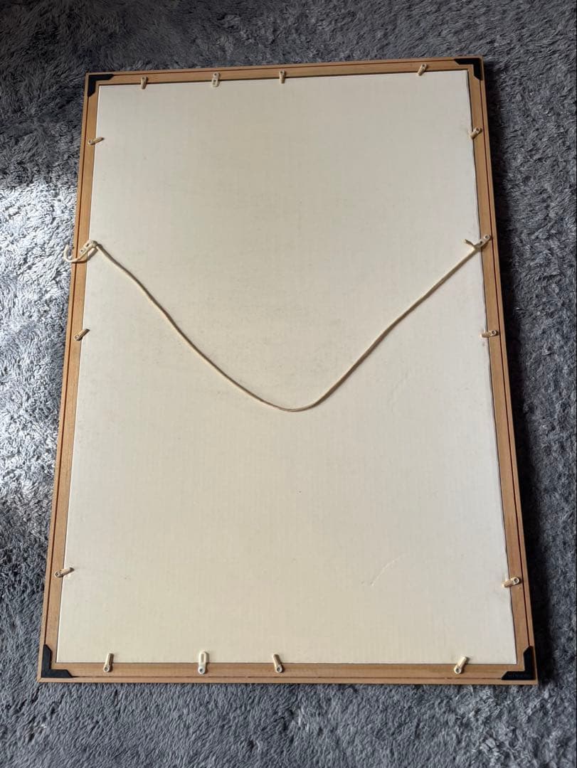 AKIRA 大友克洋 パズル完成品 鉄雄