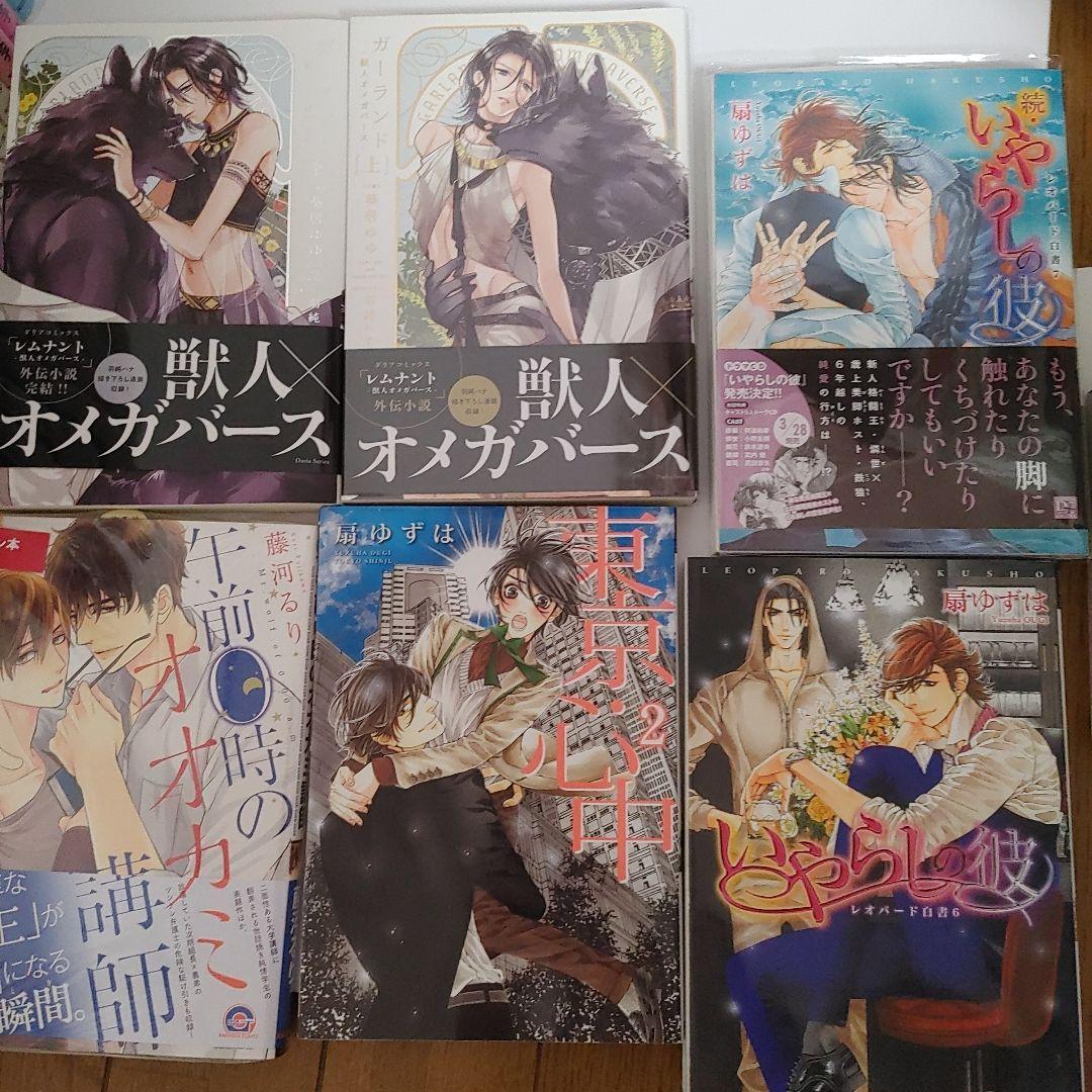 BL本　商業BL　小説　まとめ売り　サイン本　世界一初恋　blコミック