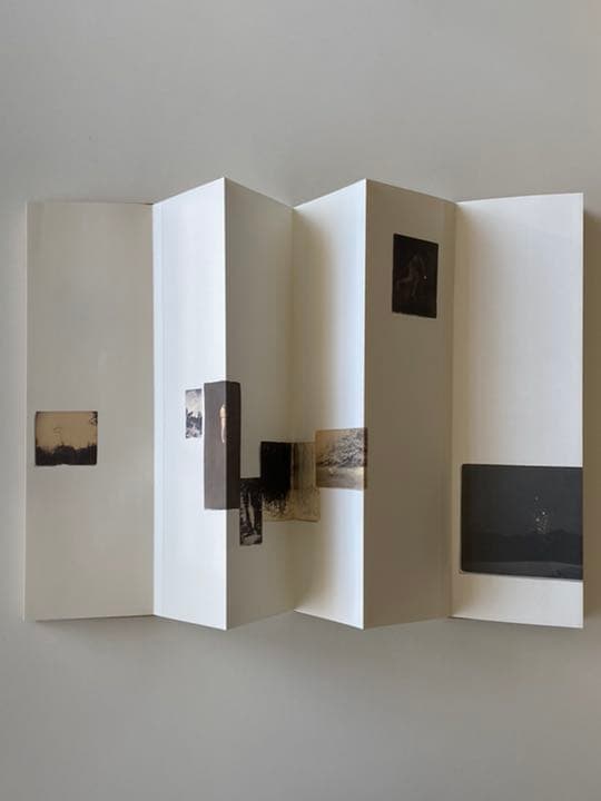 山本昌男 Masao Yamamoto 写真集 オオミズアオ サイン入り - メルカリ