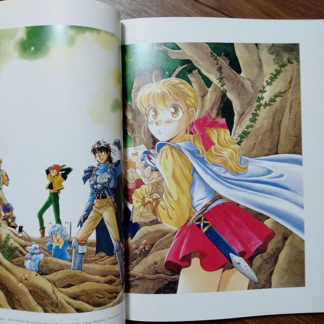 迎夏生画集 フォーチュン・クエスト Fortune Quest 深沢美潮 - メルカリ